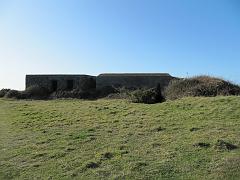 IMG_0298