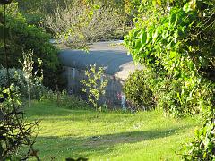 IMG_1124